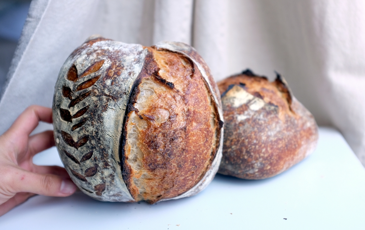 No more Dutch oven. Setup details in comments. (30% whole einkorn, 80%  hydration) : r/Sourdough